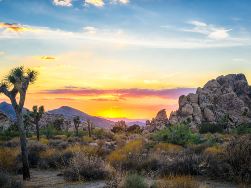 Joshua Tree is one of the best national parks in California. A must on your California bucket list!